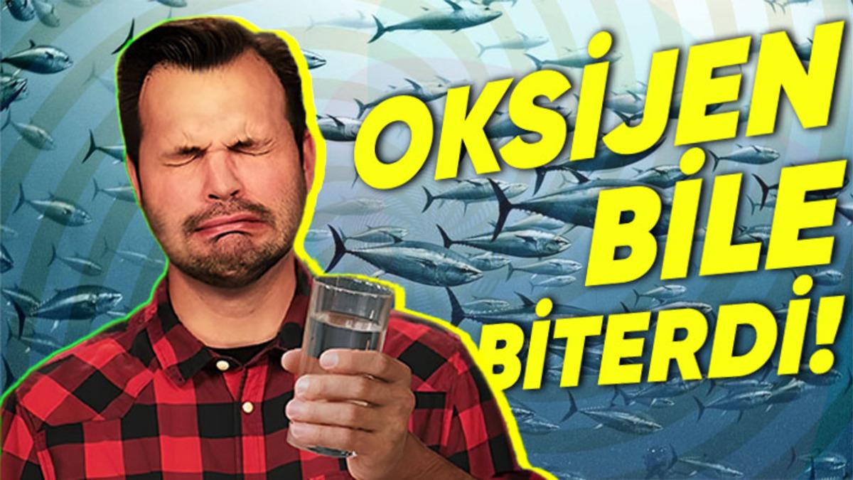 Dünya’daki Tüm Okyanus, Deniz ve Göller İçme Suyuna Dönüşseydi Nolurdu? Emin Olun, Hiç İstemezdiniz!