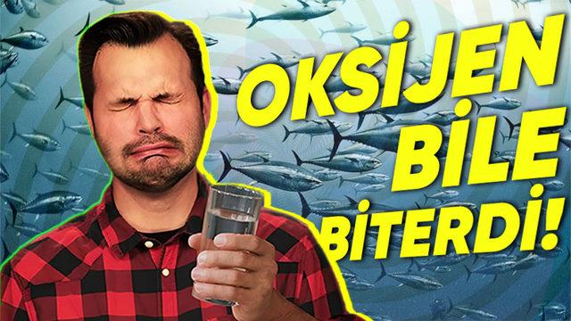 Dünya’daki Tüm Okyanus, Deniz ve Göller İçme Suyuna Dönüşseydi Nolurdu? Emin Olun, Hiç İstemezdiniz!