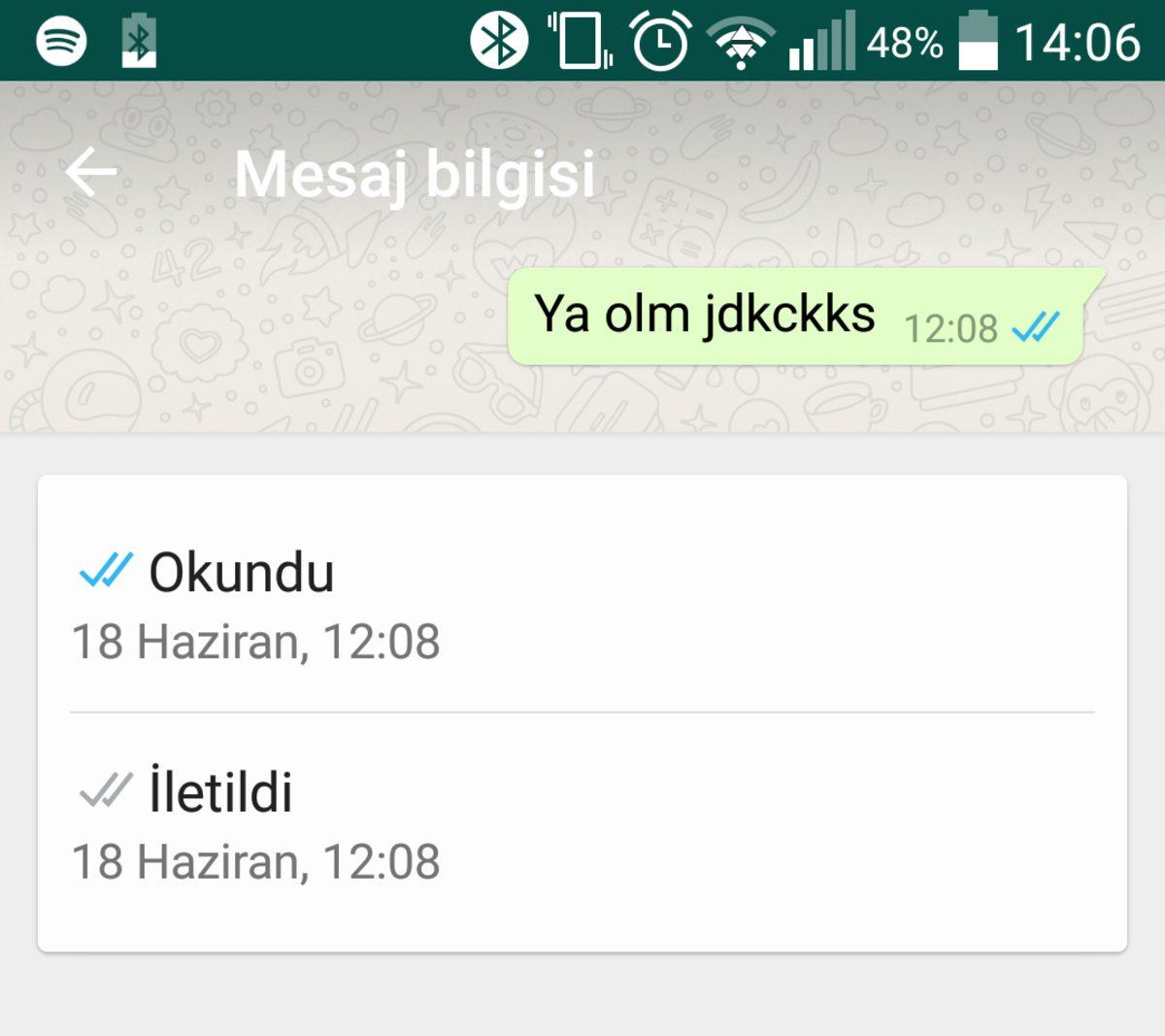 WhatsApp’da Gönderdiğiniz Mesajın Ne Zaman Okunduğunu Nasıl Görürsünüz?
