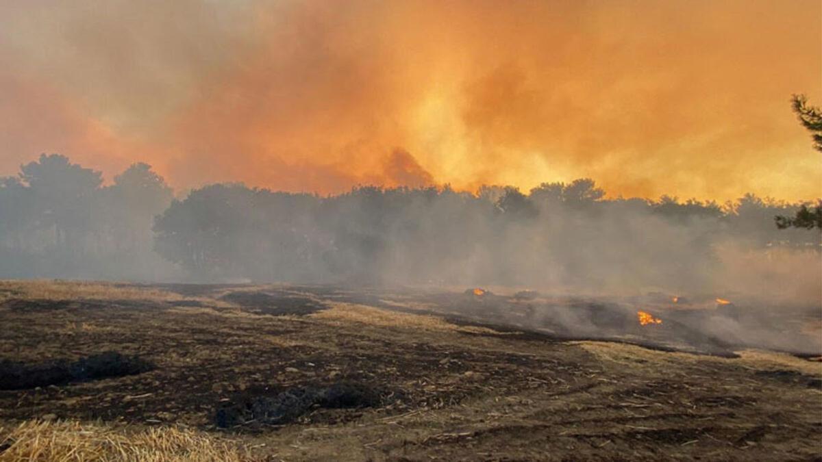 Çanakkale’deki Orman Yangını Kontrol Altına Alındı: Ne Kadar Alanın Etkilendiği Açıklandı!