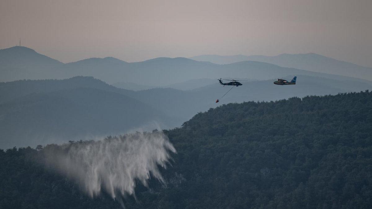 Çanakkale’deki Orman Yangını Kontrol Altına Alındı: Ne Kadar Alanın Etkilendiği Açıklandı!