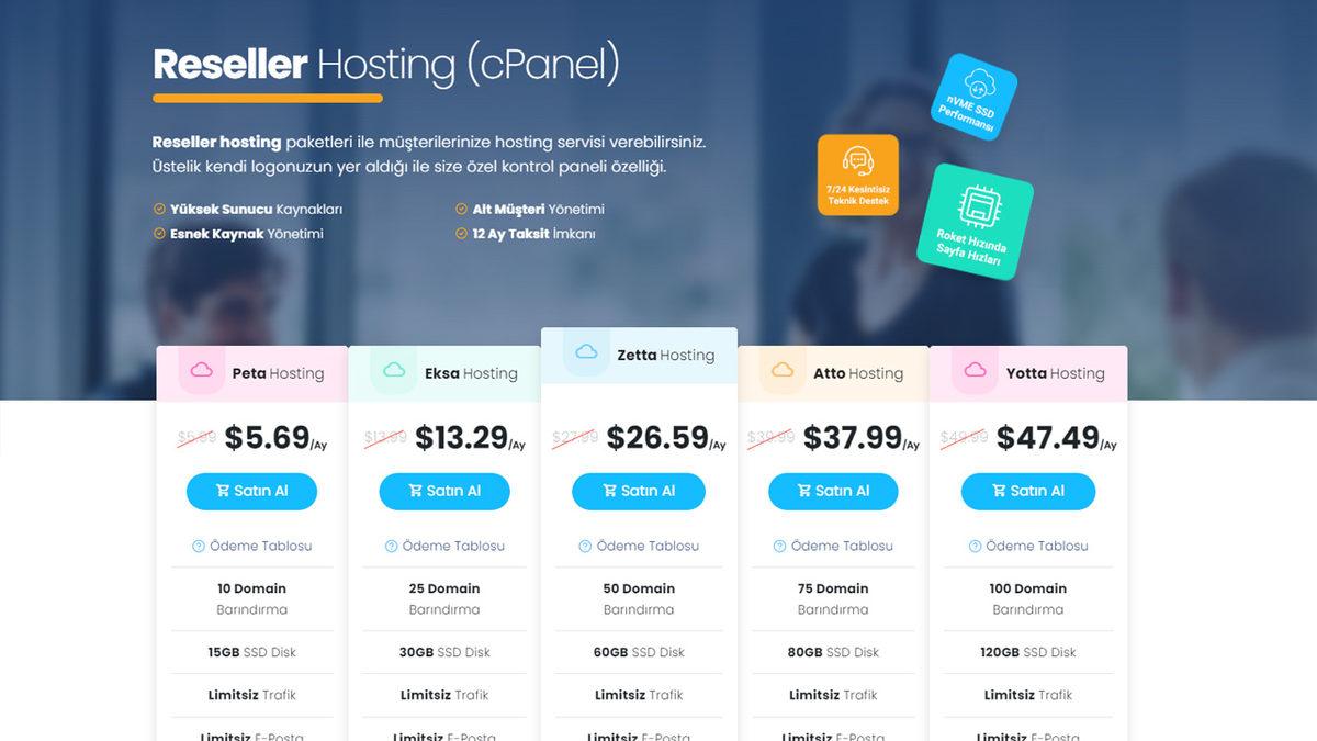 Hosting Alırken Kafası Karışanlara: Standart Hosting ve Bayi Hostinginden Hangisi Daha Mantıklı?