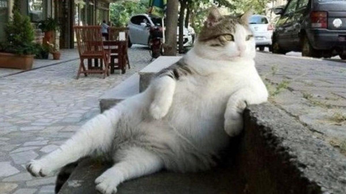 Sosyal Medyada Hakaretten Binlerce Lira Kaybetmek İstemeyenler Toplansın: Hangi Kelimelerin Suç Sayılıp Sayılmadığını Anlattık!