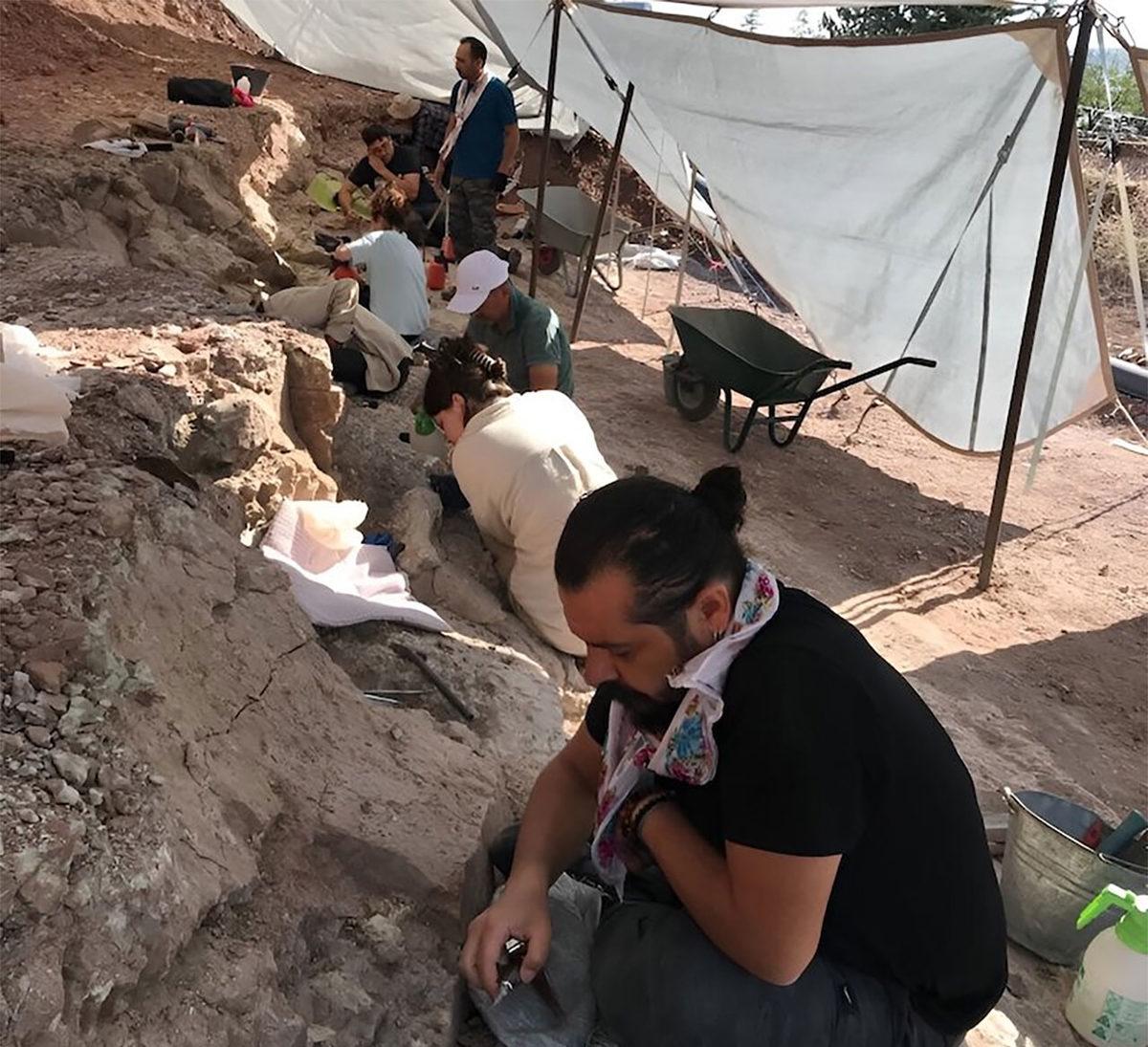 Çankırı’da Bulunan 8,7 Milyon Yıllık İnsansı Fosili, Kökenimize Yönelik Bildiklerimizle Ters Düşüyor