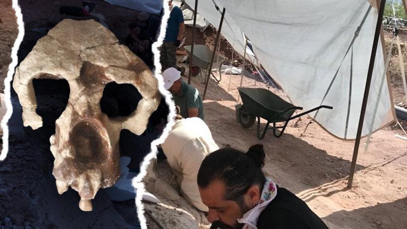 Çankırı’da Bulunan 8,7 Milyon Yıllık İnsansı Fosili, Kökenimize Yönelik Bildiklerimizle Ters Düşüyor