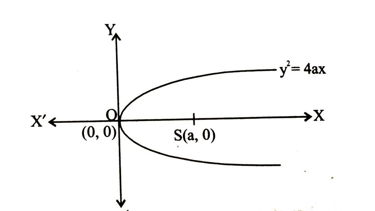 Parabol Konu Anlatımı: Fomülleri, Denklemleri, Örnek Soru ve Cevapları