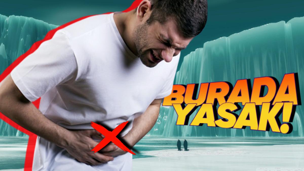 Sebebini Öğrenmeden “Ne Alaka?“ Demeyin: Antarktika’ya Gidecek Doktorlar Yolculuk Öncesinde Apandislerini Neden Aldırıyor?