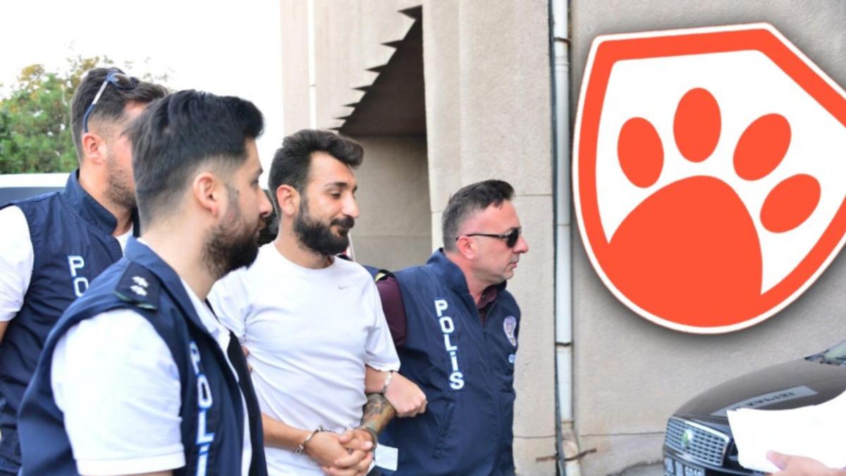 Paw Guards Yöneticisi Erkin Erdoğdu Tutuklandı: Peki Daha Önce Ne Olmuştu?