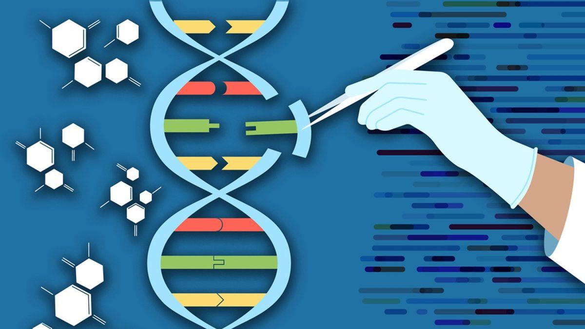 İnsan-Hayvan Melezi Canlılar Yetiştirirsek Ne Olur? Aslında Gerçek Olabilir!