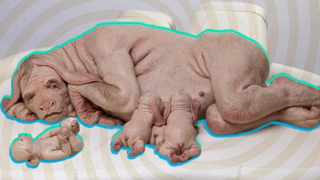 İnsan-Hayvan Melezi Canlılar Yetiştirirsek Ne Olur? Aslında Gerçek Olabilir!