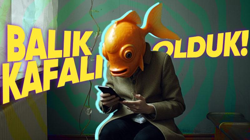 Dikkat Süremizin Bir Japon Balığından Bile Düşük Seviyeye İnmesinin Nedenini Öğrenince "Bu Noktaya Ne Ara Geldik!" Diyeceksiniz