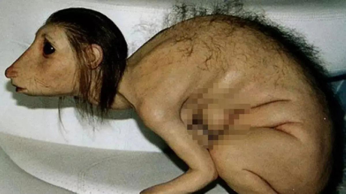 Facebook’un Popüler Olduğu Yıllarda Milyonlarca Kişinin Sazan Gibi Atlayıp İnandığı Söylentiler (Fazlasıyla İğrençlik İçerir!)