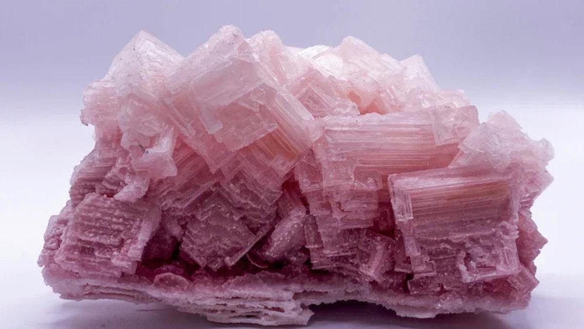 Facebook’un Popüler Olduğu Yıllarda Milyonlarca Kişinin Sazan Gibi Atlayıp İnandığı Söylentiler (Fazlasıyla İğrençlik İçerir!)