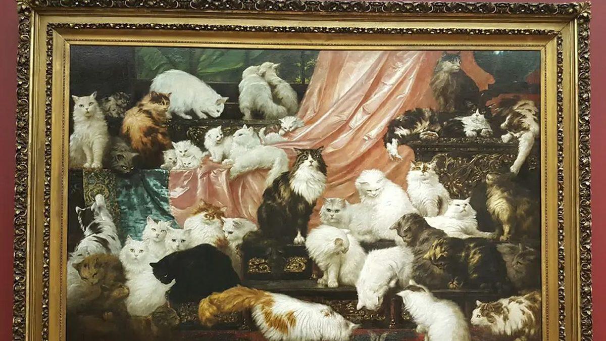 Asla Tüy Dökmez Yanılgısıyla Bilinen İran Kedileri Hakkında 9 Gerçek Bilgi