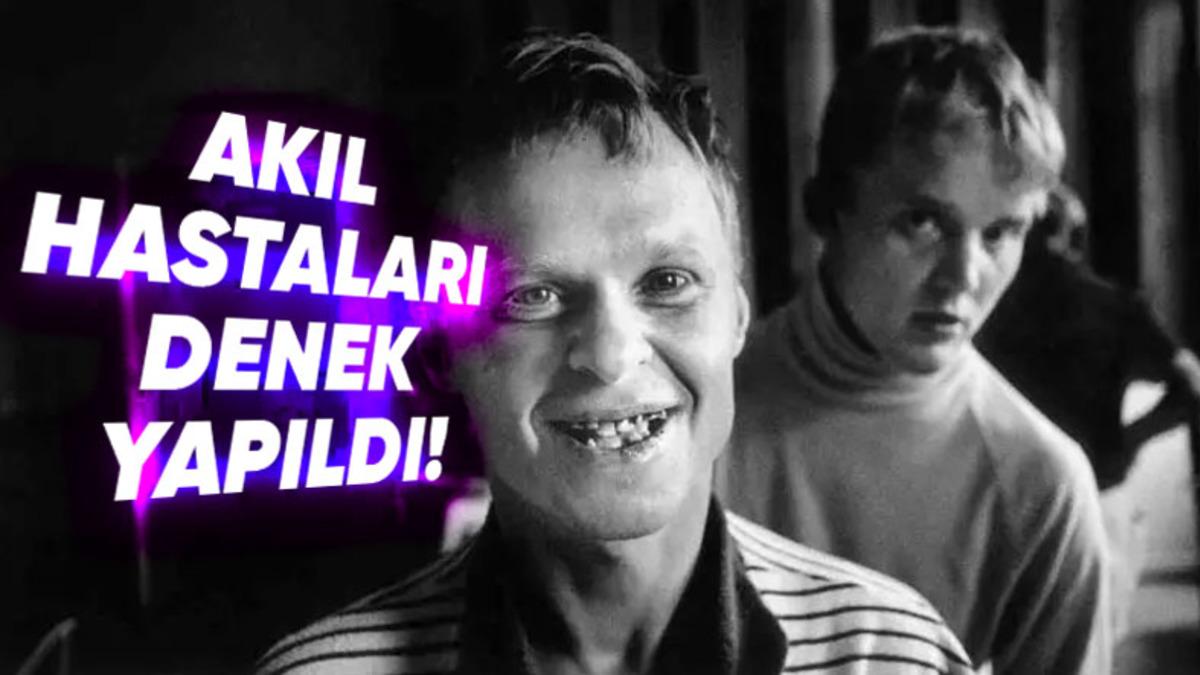 Vipeholm Deneyi: Diş Çürüklerinin Sebebini Keşfetmek Keşke Bu Kadar Acımasızca Olmasaydı!