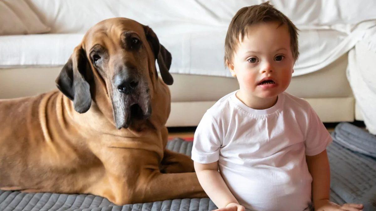 Sosyal Medyada Karşımıza Çıkan “Down Sendromlu Hayvanlar” ile İlgili Hiç Bilmediğiniz Gerçekler