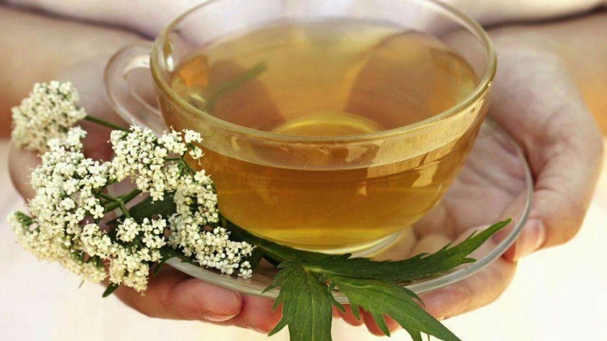 İnsanların Binlerce Yıldır Tıbbi Amaçla Kullandığı İlginç Bitki: ’Kedi Otu’ Nedir, Yararları ve Zararları Nelerdir?