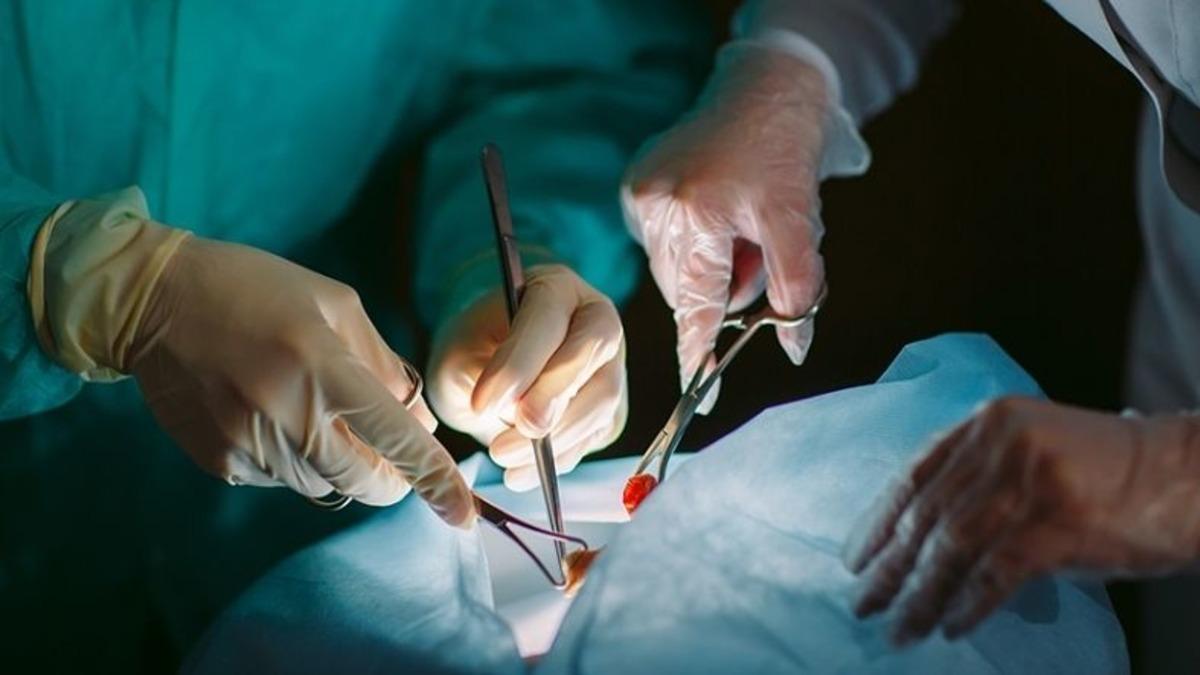 Böbrek Yetmezliği Çeken Hastalara Güzel Haber: Yapay Böbrek İmplantı, Hastalığın Seyrini Tamamen Değiştirebilir!