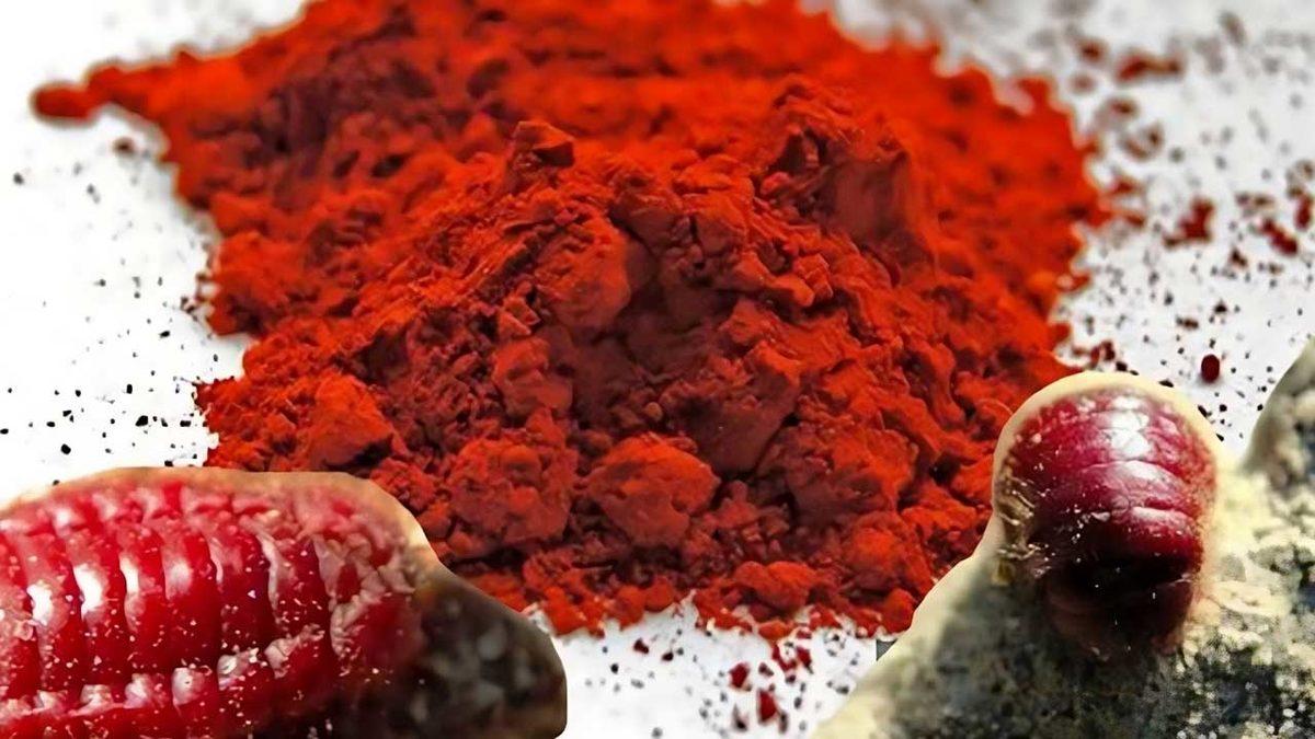 Pastırma Gibi Yiyecekleri Renklendirmek İçin Böcek Kanı mı Kullanılıyor? Ürün Ambalajlarındaki E120 Maddesi Neyin Nesi, Zararlı mı?