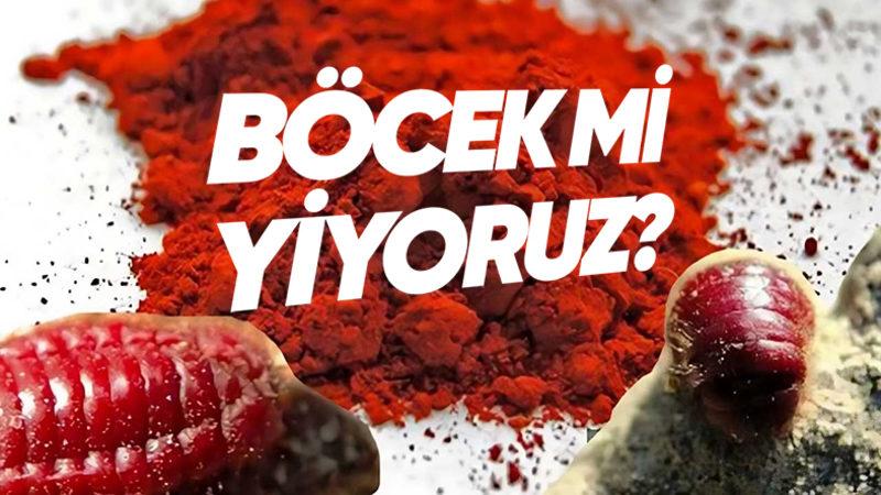 Pastırma Gibi Yiyecekleri Renklendirmek İçin Böcek Kanı mı Kullanılıyor? Ürün Ambalajlarındaki E120 Maddesi Neyin Nesi, Zararlı mı?
