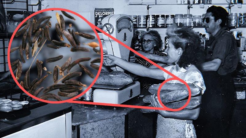 The Last of Us’taki Gibi Zombileştirmese de 300 Kişilik Koca Bir Köyü "Delirten" Mantar