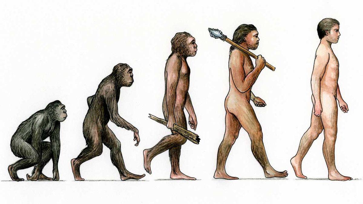 Çoğu Hayvan Doğar Doğmaz Koşabiliyorken İnsan Yavruları Neden Bu Kadar Aciz Bir Şekilde Doğuyor?