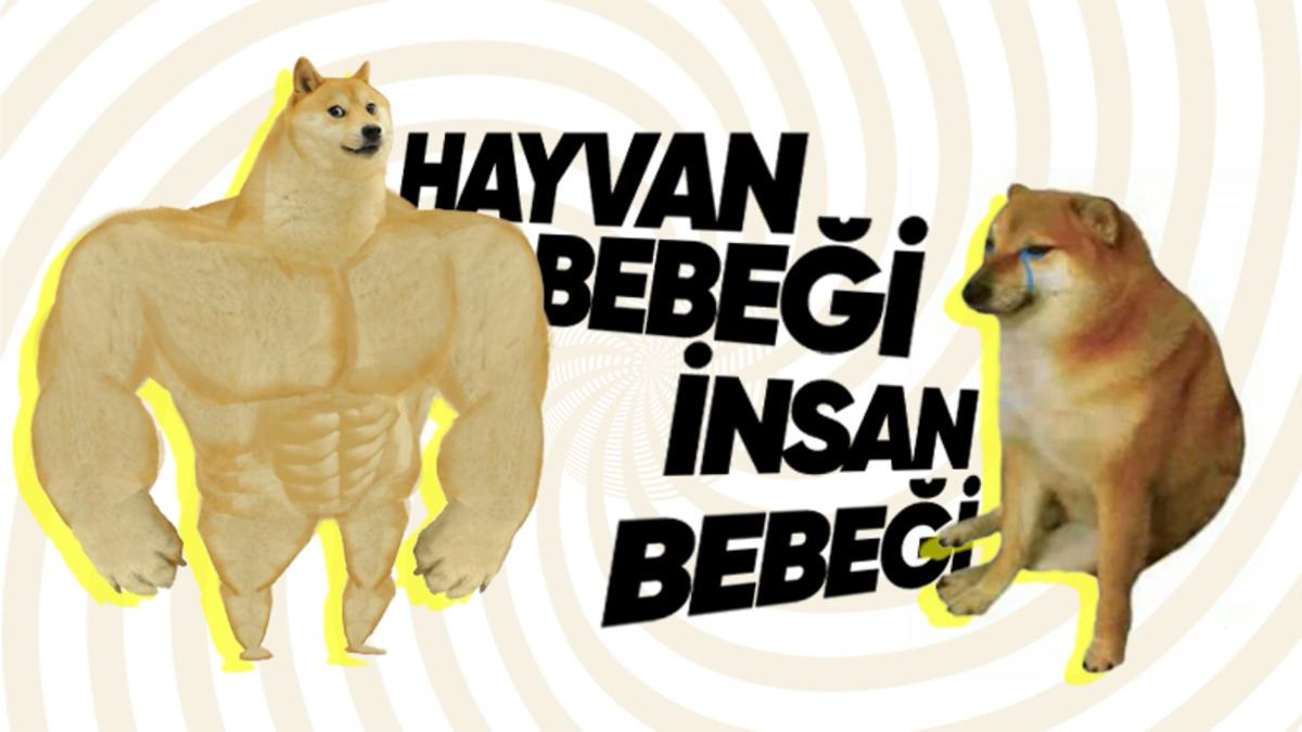 Çoğu Hayvan Doğar Doğmaz Koşabiliyorken İnsan Yavruları Neden Bu Kadar Aciz Bir Şekilde Doğuyor?