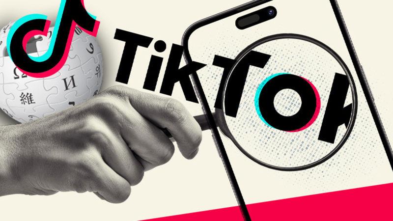 TikTok, Google’a Rakip Olmayı Kafaya Koymuş: Artık Sadece Video Değil, Wikipedia Sonuçları da Gösterecek!