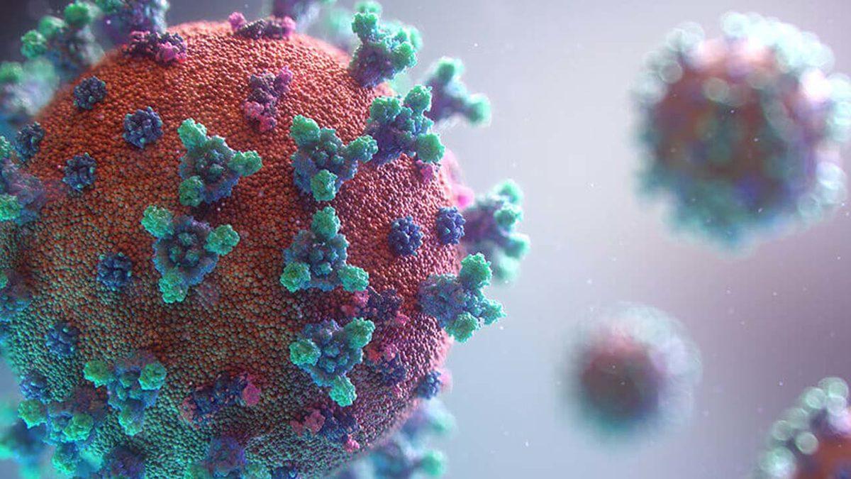 Sağlık Bakanı, COVID-19’un Eris Varyantının Türkiye’de de Görüldüğünü Açıkladı (Korkacak Bir Şey Yok)