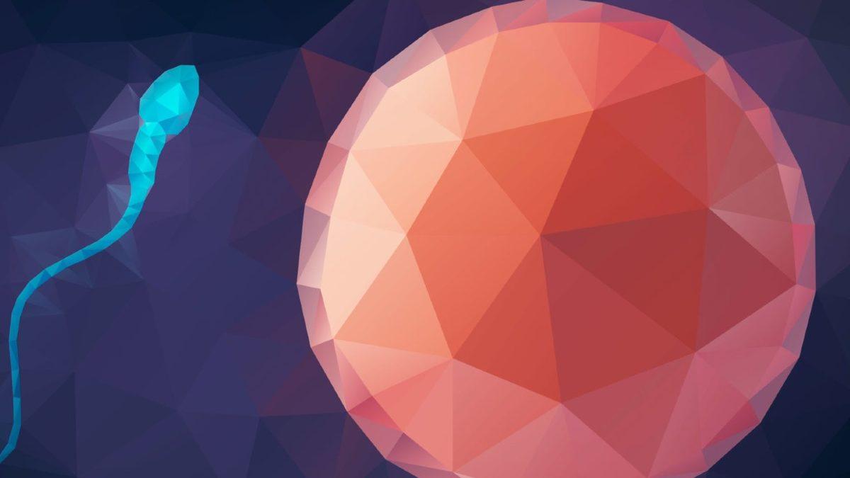 Her Birimizin Farklı Görünmesinin, Düşünmesinin, Hissetmesinin Anahtarı Olan ‘Mayoz Bölünme’ Nedir?