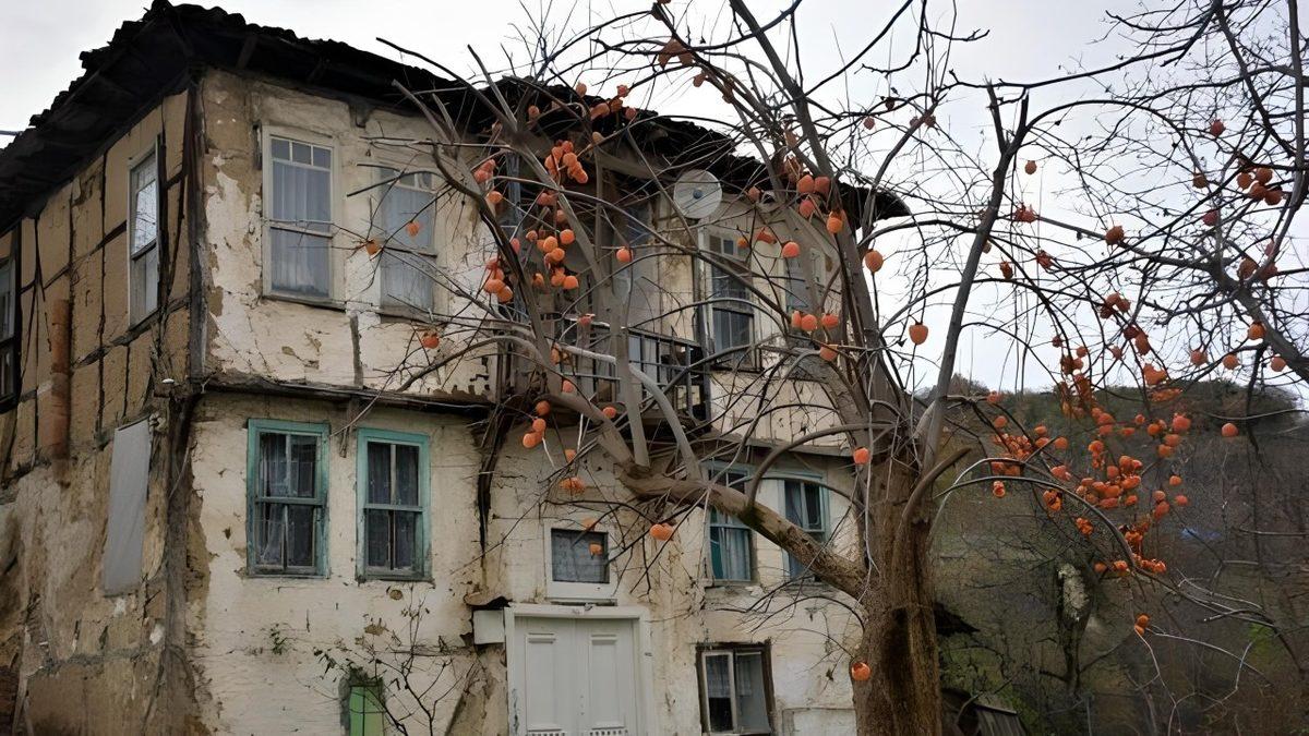 Bilim Bunu da Açıklıyor: Hayaletlerin Genellikle Eski Evlerde Görünmesinin Kolay Kolay Tahmin Edemeyeceğiniz Bir Nedeni Var!