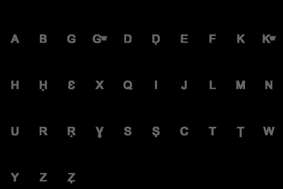 Kültür yaa, Farklı Kültürler: Mısır’ın Siwa Şehrinde Doğan Bir Berberi Olsaydınız Hayatınız Nasıl Olurdu?