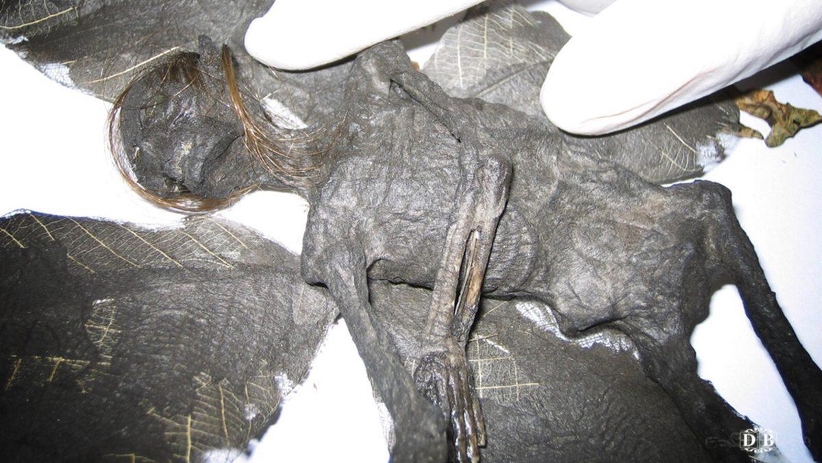 Bir Zamanlar “İnsanüstü Varlık