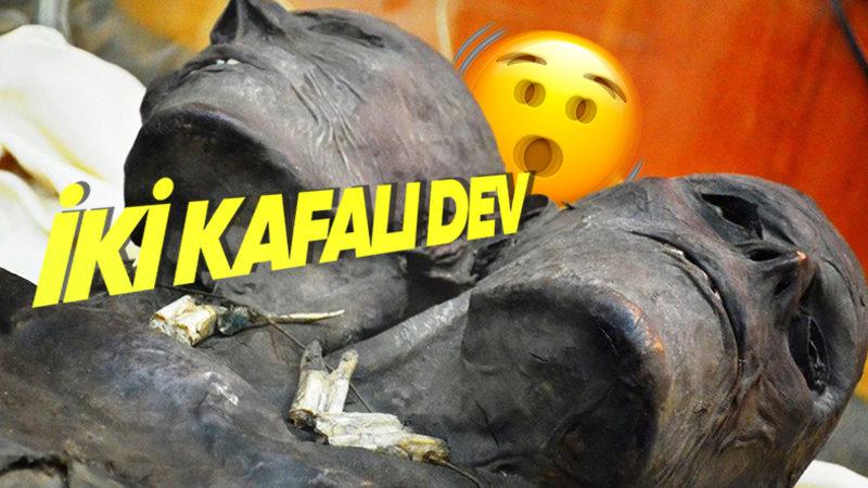 Bir Zamanlar “İnsanüstü Varlık" Olduğu Zannedilmiş 5 Mumya: Uzaylısı da Var Perisi de...