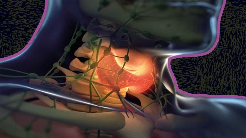 Metabolizma Hızımız İçin Çok Önemli Olan ‘TSH’ Nedir, Yüksekliği Ne Anlama Gelir?