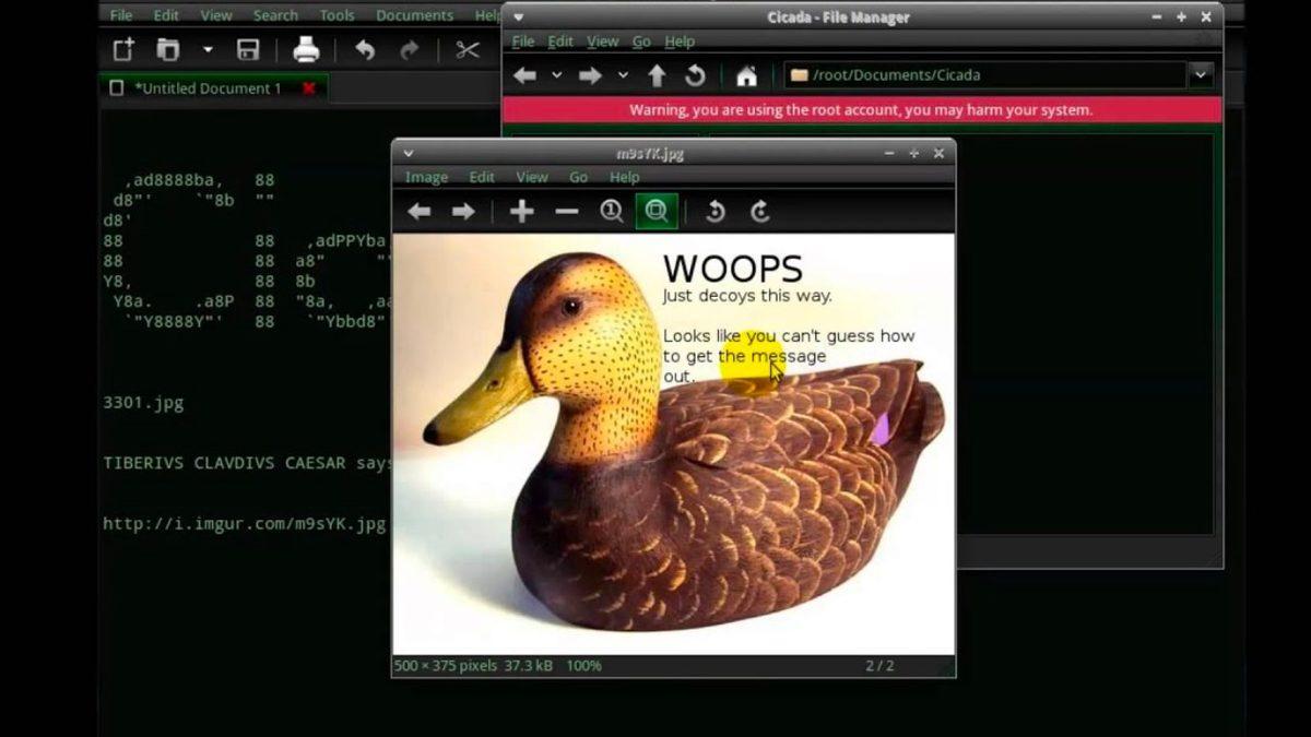 Şu An İnternetin En Gizemli Bulmacasına Bakıyorsun: Aradıkları O Çok Zeki Kişi Sen Olabilir misin?