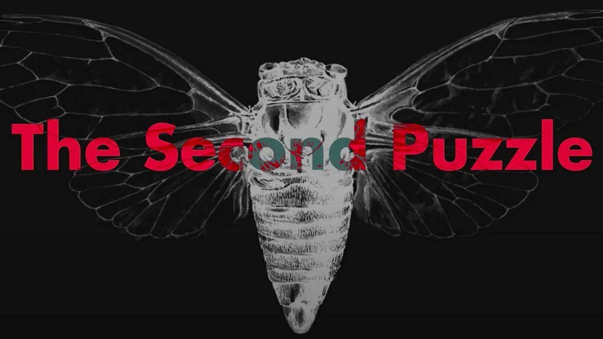 Şu An İnternetin En Gizemli Bulmacasına Bakıyorsun: Aradıkları O Çok Zeki Kişi Sen Olabilir misin?