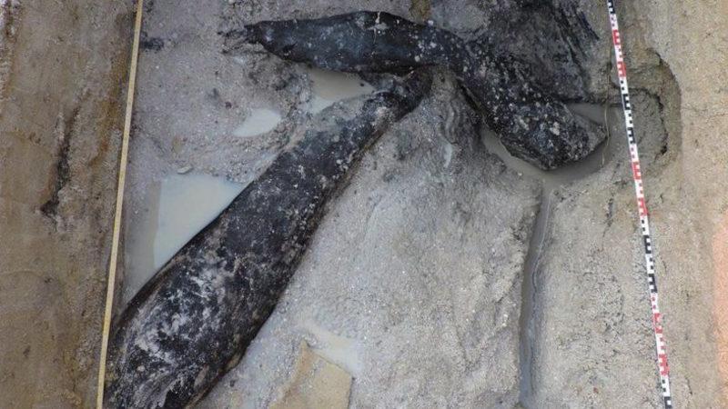 İnsan Eliyle İnşa Edilmiş, 500 Bin Yıllık Ahşap Yapı Keşfedildi: İnsanlık Tarihi Baştan Yazılabilir!