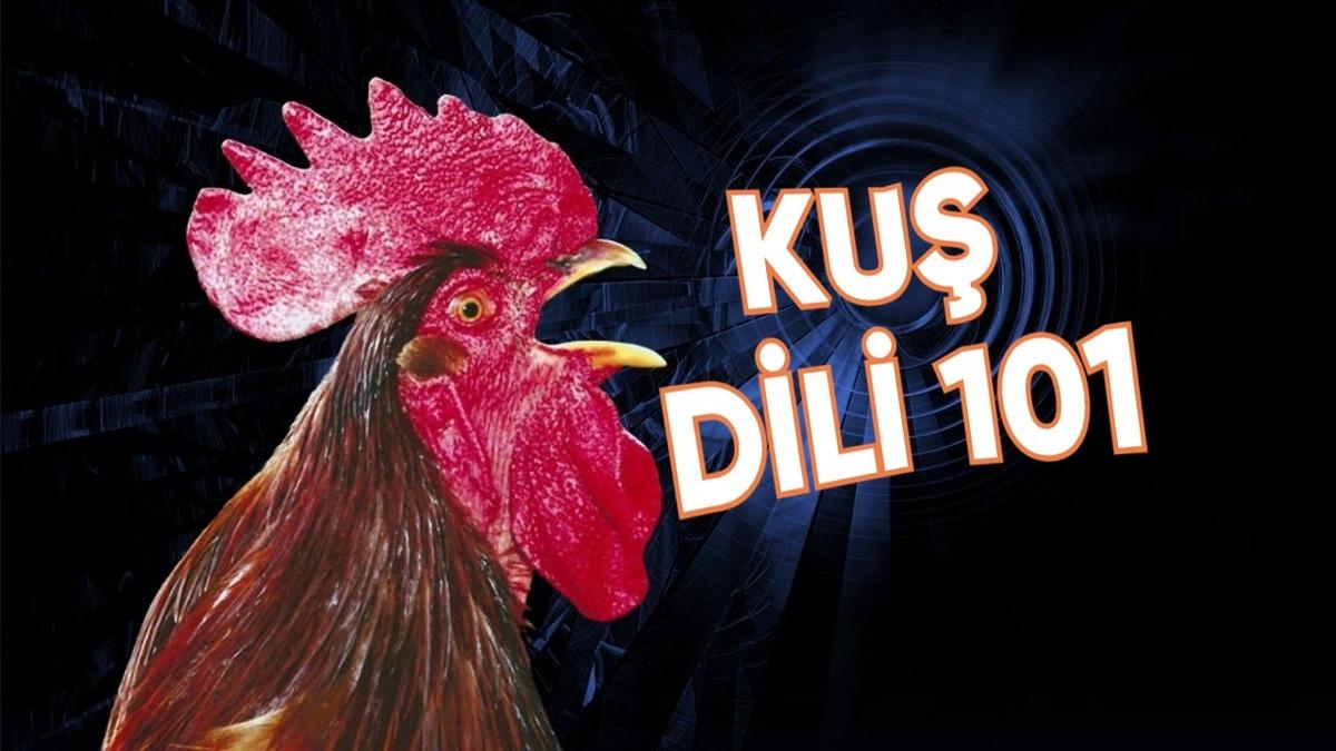 Japon Araştırmacılar, Tavuk ve Horozların ’Gıdaklama’ Sesini Tercüme Eden Bir Yapay Zekâ Modeli Geliştirdi