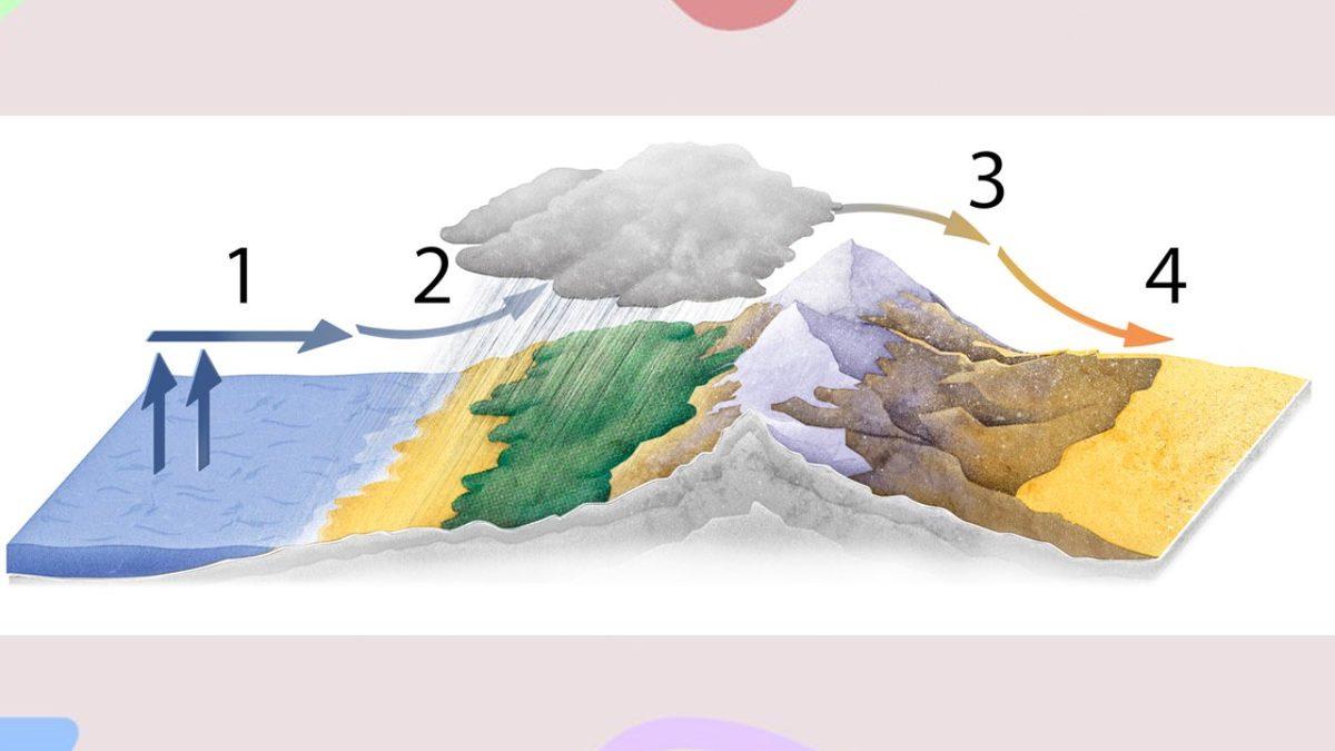 Kumların Öylece Birikmesiyle Oluştuğunu Sandığınız Çöllerin Aslında Nasıl Ortaya Çıktığını Öğrenince Çok Şaşıracaksınız!