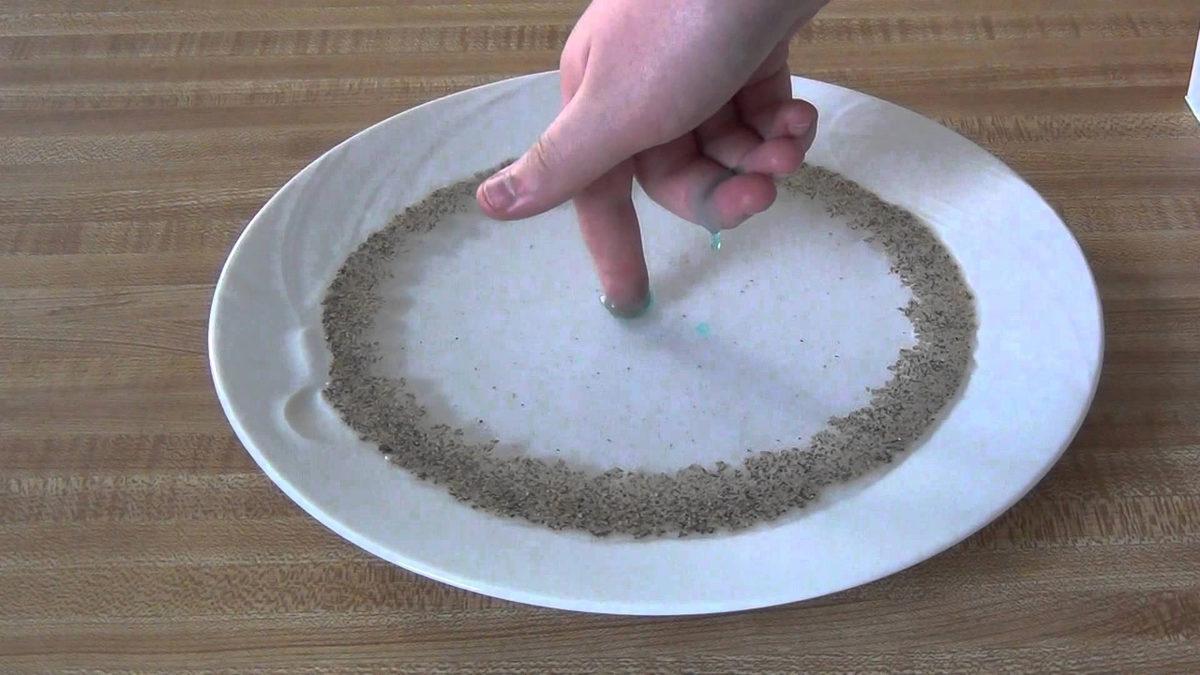 Her Evde Bulunan Malzemelerle Yapabileceğiniz Birbirinden Eğlenceli 5 Bilimsel Deney