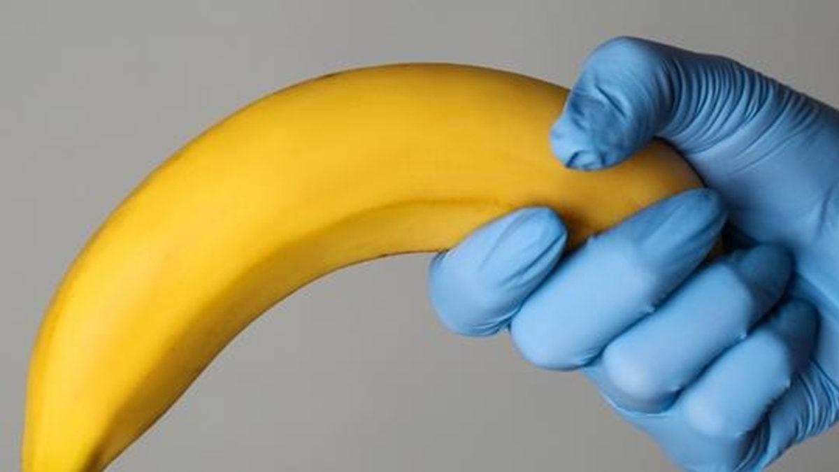 Viagra Tarihe Karışabilir: Kalıcı Ereksiyona Neden Olan Örümcek Zehrinin 