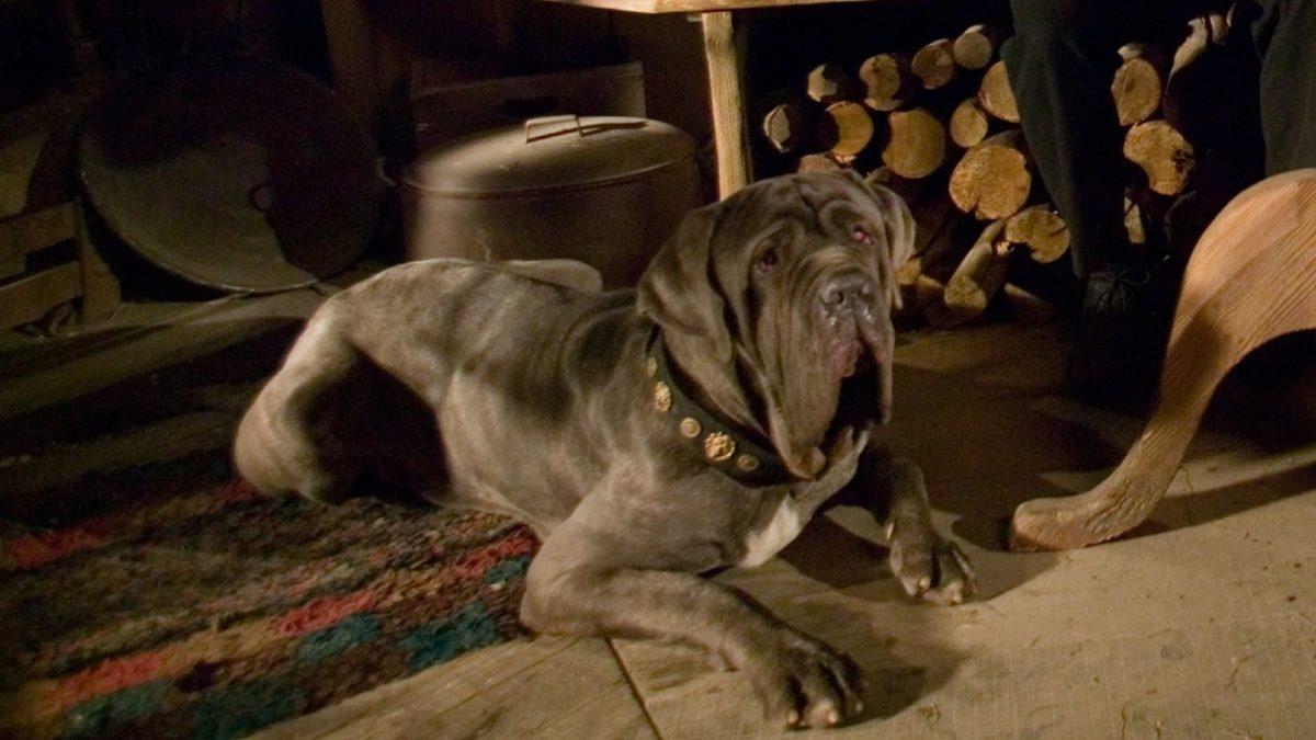 Bambaşka Bir Harry Potter’la Karşılaşabilirmişiz: Seriye Eklenmesi Düşünülen ama Sonradan Vazgeçilen Enteresan Detaylar