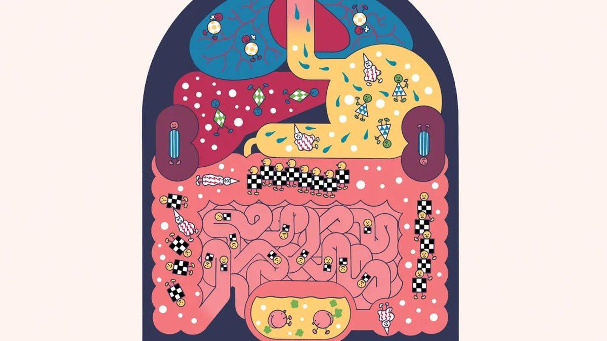 Meğer Ölümden Sonra Yaşam Varmış! Ama Pek de Düşündüğümüz Gibi Değil...