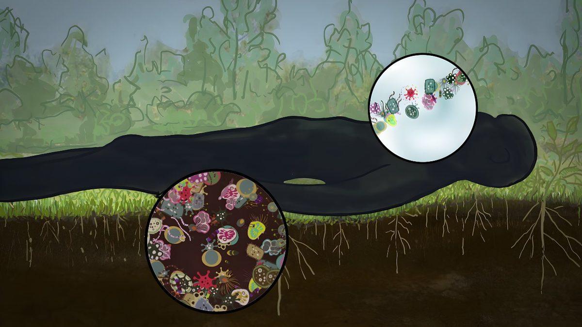 Meğer Ölümden Sonra Yaşam Varmış! Ama Pek de Düşündüğümüz Gibi Değil...