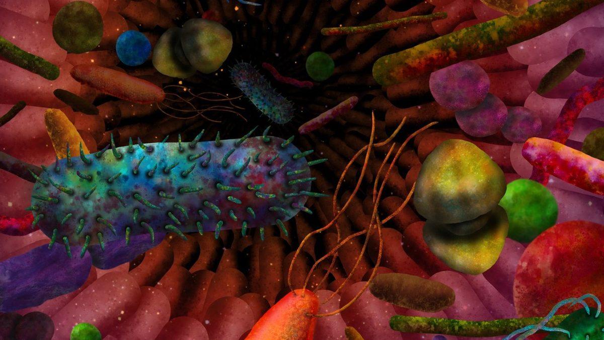 Meğer Ölümden Sonra Yaşam Varmış! Ama Pek de Düşündüğümüz Gibi Değil...