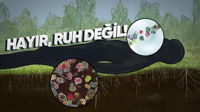 Meğer Ölümden Sonra Yaşam Varmış! Ama Pek de Düşündüğümüz Gibi Değil...