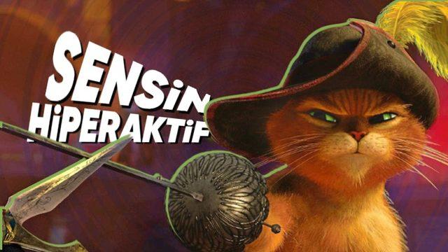 Sosyal Medyada İyice Adı Çıkan Sarmanlar, Diğer Kedilere Göre Gerçekten Daha mı Hiperaktif?