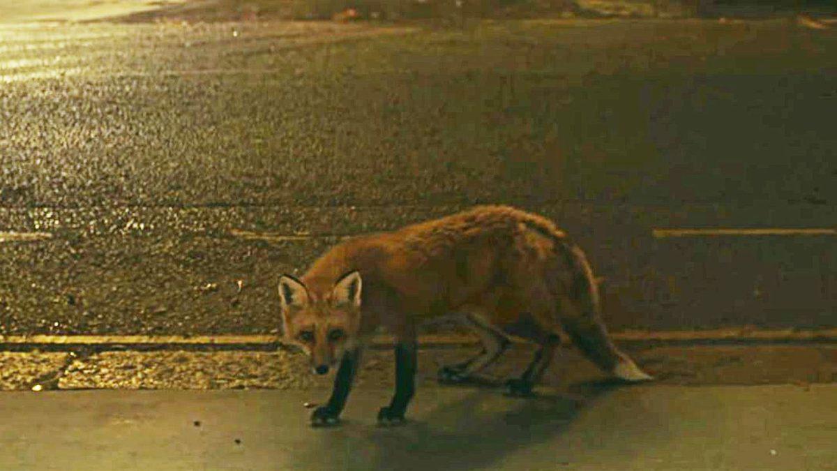 Dizi Gurularını Bu Teste Alalım: Görsel Hafızanızı Zorlayacak Bu 20 Kesitten Kaçını Tanıyabilirsin?