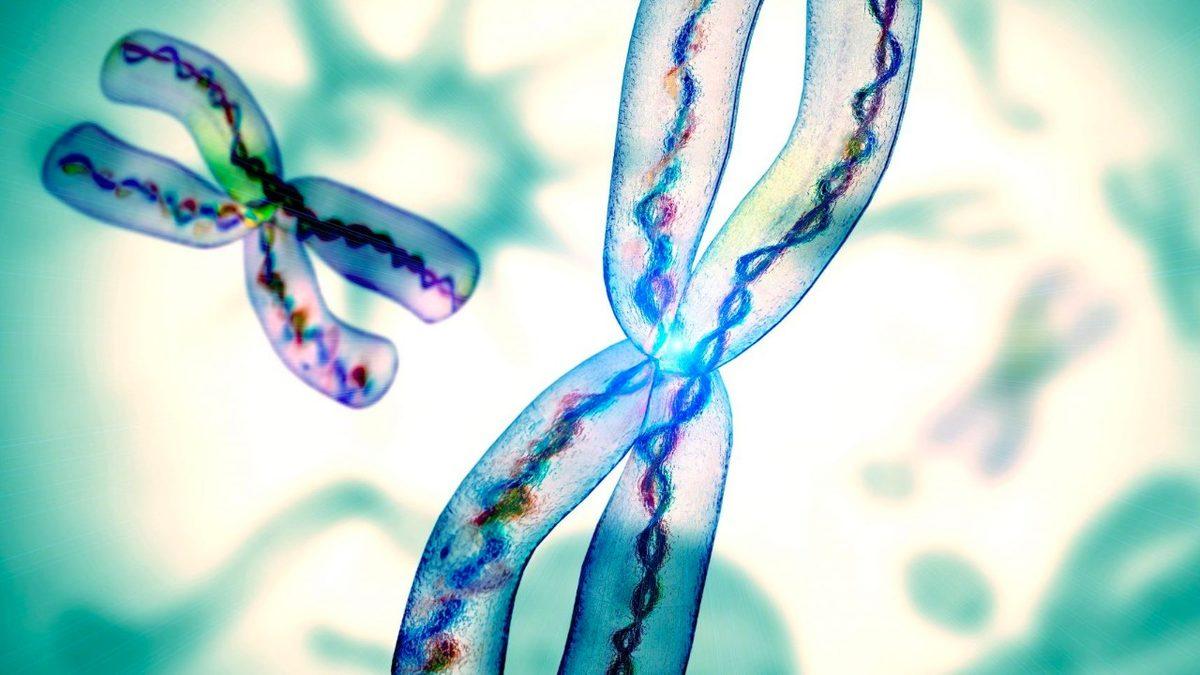 Şimdiye Kadar Neredeyse Hiç Kel Kadın Görmemenizin Asıl Sebebi Ne? İşte İçimizdeki O Kilit Faktör...